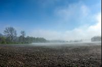 Morgennebel und Sonne 1