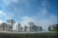 Morgennebel und Sonne 5