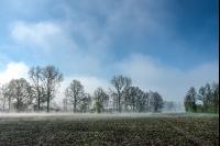 Morgennebel und Sonne 7