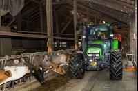 Braunvieh Holstein Milchvieh 1