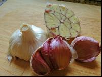 Knoblauchhälfte 3