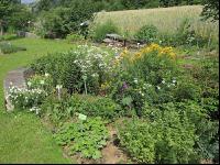 Kräutergarten 2