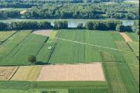 Landwirtschaft in Augebieten 2