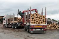 Holz abladen im Sägewerk