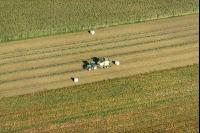 Pressing round bales 4
