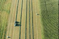 Pressing round bales 5