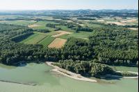 Landwirtschaft in Augebieten 3
