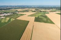 Agrarian landscape in Juli 5