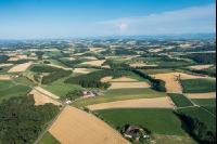 Kulturlandschaft im Juli 6