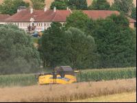 Raps Ernte 205