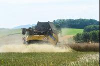 Raps Ernte 220