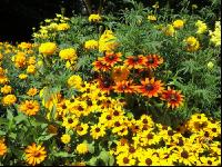 Blumenbeete