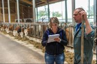 Beratung Kalbinnenfütterung 5