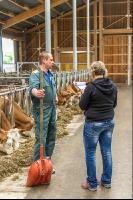 Beratung Kalbinnenfütterung 3