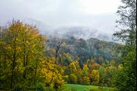 Nebel im Spätherbst 1