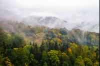Nebel im Spätherbst 2