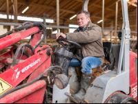 Bauer Stallarbeit 15