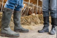 Bauer und Bäuerin Stallarbeit 11