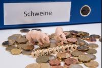 Finanzen Schweine 1