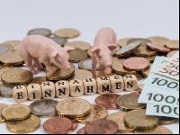 Finanzen Schweine 2
