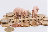 Finanzen Schweine 3