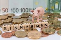 Finanzen Schweine 4