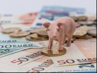 Finanzen Schweine 6
