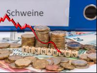 Finanzen Schweine 7