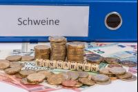 Finanzen Schweine 10
