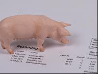 Schweinepreis 1