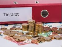 Tierarztkosten 2