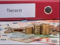 Tierarztkosten 1