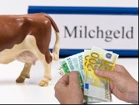 Milchgeldrechnung 19