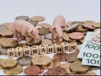 Pigs finances 2