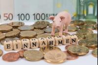Pigs finances 4
