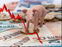 Finanzen Schweine 8