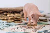 Pigs finances 9