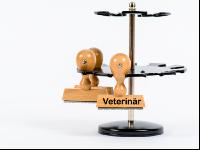 Veterinär