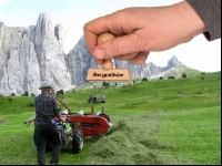 Bergmähder