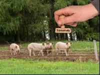 Tierschutz 2