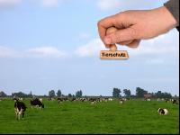 Tierschutz