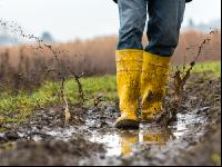 Regenwetter 4