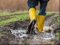 Regenwetter 3