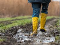 Regenwetter 2