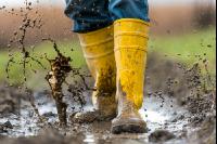 Regenwetter 1