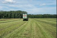 Grassilageernte Ladewagen 7