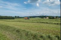 Grassilageernte Ladewagen 5