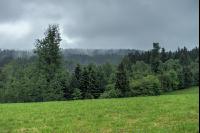Regenwetter 7