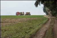 Holztransport mit LKW 1