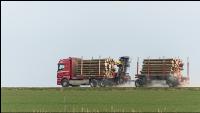 Holztransport mit LKW 3